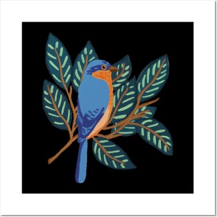 Eastern bluebird Posters and Art